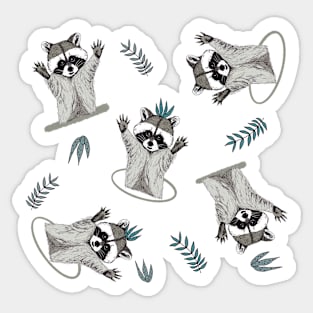 Jolly Playful Raccoons Sticker